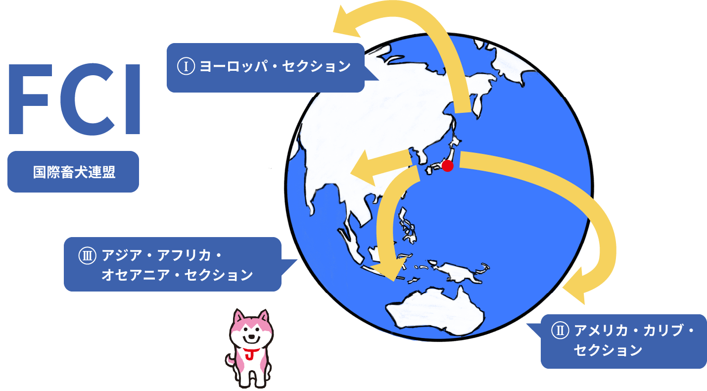 世界的なケネルクラブのネットワーク「FCI」
