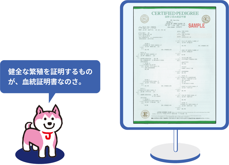 血統証明書